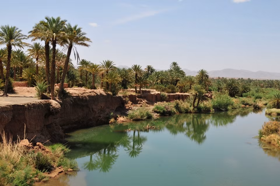 Thung lũng Draa: Trên những con đường men theo tuyến đường du mục cổ xưa từ Mali đến Marrakesh, du khách có thể nhìn thấy thung lũng Draa, giấc mơ của các thương gia sa mạc thời xưa. Những cây chà là tỏa bóng mát, những lâu đài bằng gạch bùn gồm Zagora, Tamnougalt, Timidarte và Agdz có lẽ giống như ảo ảnh với họ sau hai tháng trong Sahara. Những pháo đài từng chào đón các đoàn du mục giờ mở cửa với khách nghỉ qua đêm. Bạn sẽ thức dậy với những món bánh nóng hổi vừa nướng trong lò đất và một nhịp điệu cuộc sống chậm rãi hơn. Ảnh: Lonely Planet.