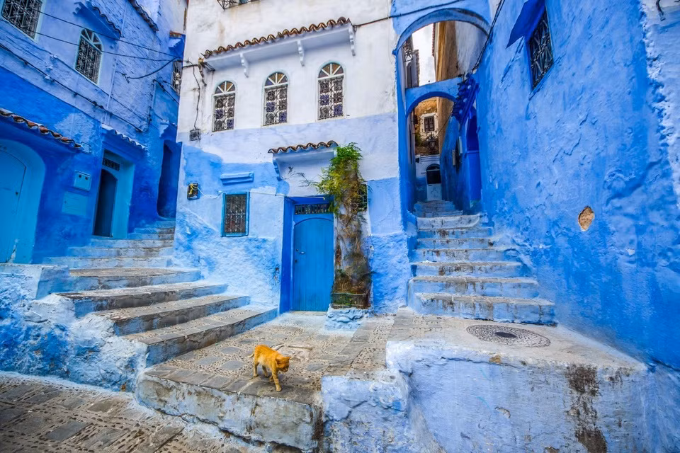 Chefchaouen: Những con phố dốc và nhà cửa màu xanh rực rỡ khiến Chefchaouen trở thành điểm đến nổi tiếng thế giới. Không chỉ vậy, nơi đây còn có nhiều điều thú vị cho bạn khám phá, như thưởng thức trà bạc hà ở quảng trường chính, hoặc đi bộ dọc sông, ghé thăm những khu chợ nhỏ. Nếu có thời gian, du khách có thể đến Công viên quốc gia Talassemtane để ngắm dãy Rif hùng vĩ. Ảnh: MBA.