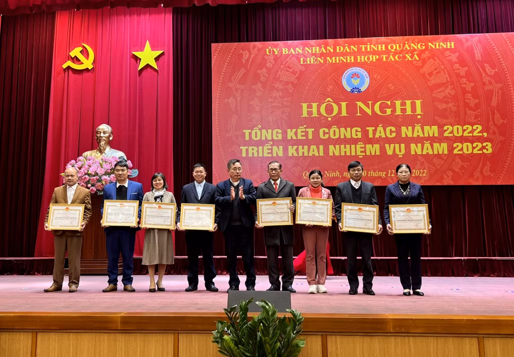 Các tập thể có thành tích xuất sắc trong phong trào sản xuất kinh doanh, phát triển kinh tế tập thể năm 2022 được nhận giấy khen của Liên minh HTX tỉnh.