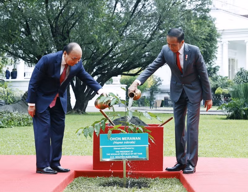 Trong chuyến thăm, Tổng thống Joko Widodo đã mời Chủ tịch nước Nguyễn Xuân Phúc trồng cây sao đen tại Dinh Tổng thống, gửi gắm kỳ vọng cây mau lớn, ngày càng xanh tốt.