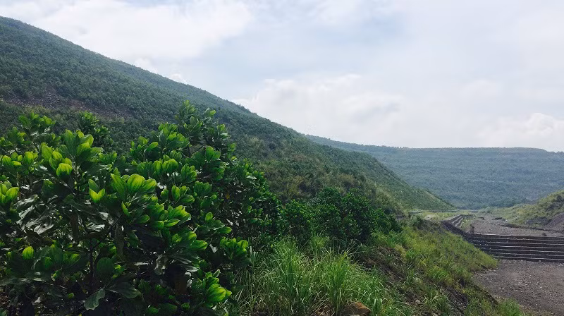 Trồng cây phủ xanh bãi thải Chính Bắc (TP. Hạ Long). Ảnh: Ngọc Linh
