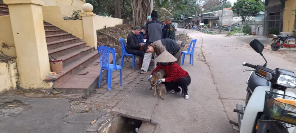 Một điểm tiêm phòng dại cho đàn chó, mèo nuôi tại phường Cộng Hòa.