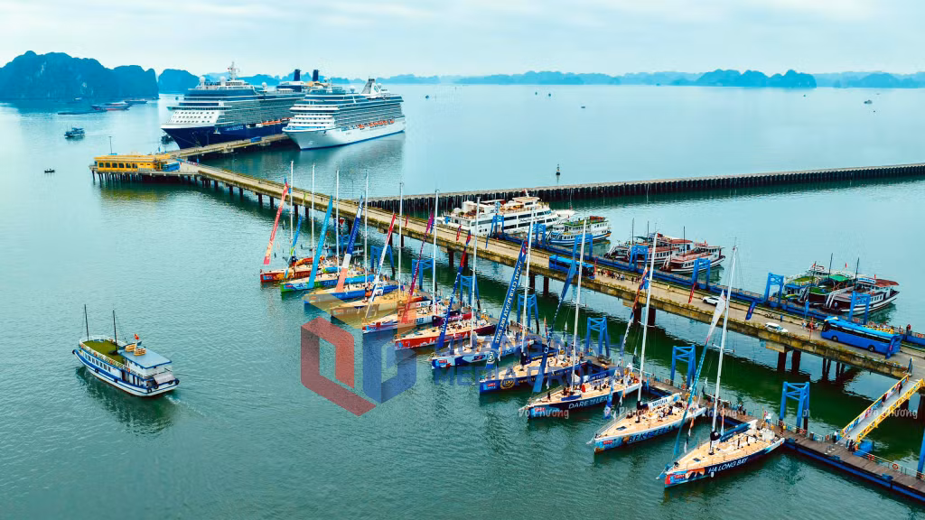 2024-03_11 thuyền buồm thả neo tại Cảng tàu khách quốc tế Hạ Long. Ảnh: Đỗ Phương