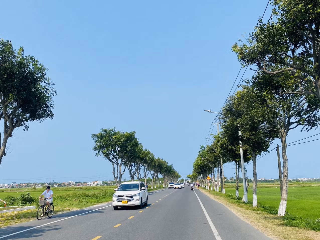 Cánh đồng lúa tuyệt đẹp trên tuyến đường Hai Bà Trưng, gần làng rau Trà Quế, thành phố Hội An - Ảnh: Kim Hoa