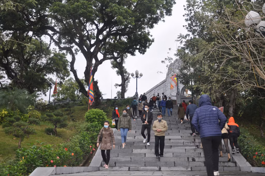 Gia tăng giá trị du lịch từ Cây di sản ảnh 3