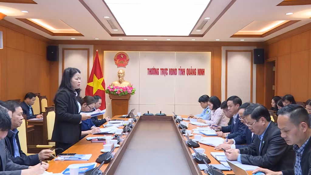 Đồng chí Vũ Thị Diệu Linh, Trưởng Ban Văn hóa - Xã hội, Trưởng đoàn giám sát phát biểu tại buổi làm việc.