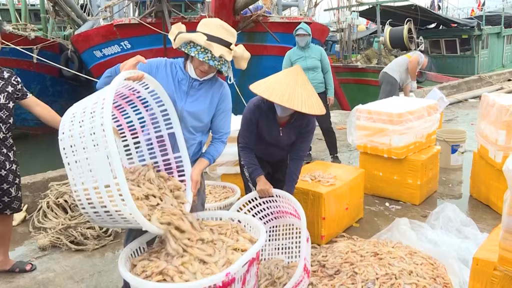 Ngư dân xã Tiến Tới (huyện Hải Hà) bán sản phẩm thủy sản khai thác. Ảnh: Hải Hà