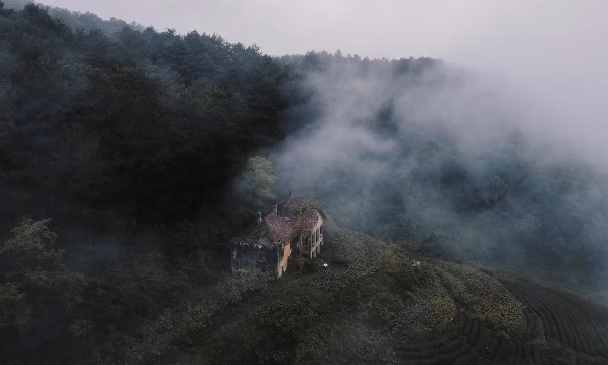 Biệt thự bỏ hoang giữa rừng thành điểm du lịch khám phá ảnh 1