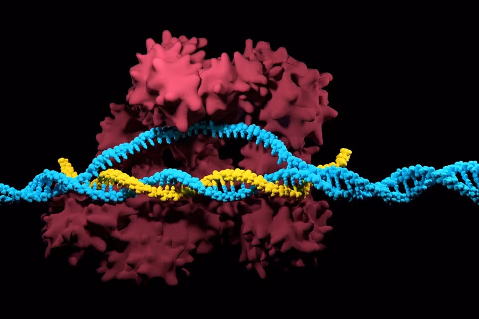 Liệu pháp chỉnh sửa gene CRISPR được cho là có tiềm năng trong việc chữa khỏi HIV. Ảnh: Genetic Engineering and Biotechnology News.
