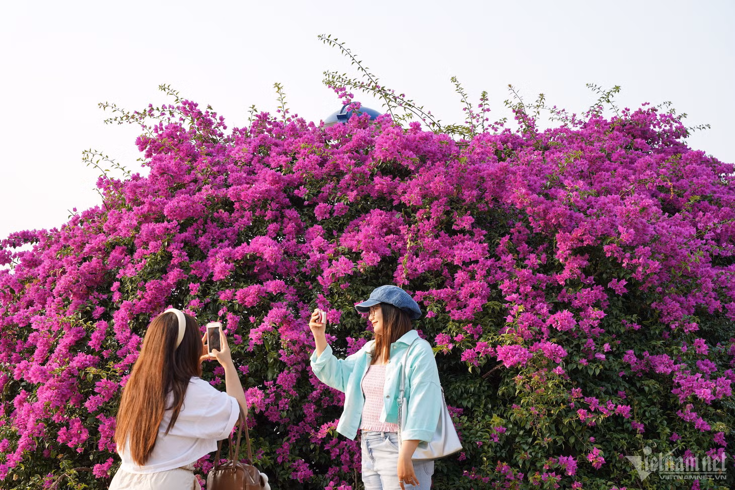 Các bạn trẻ không khỏi trầm trồ trước vẻ đẹp của hoa giấy
