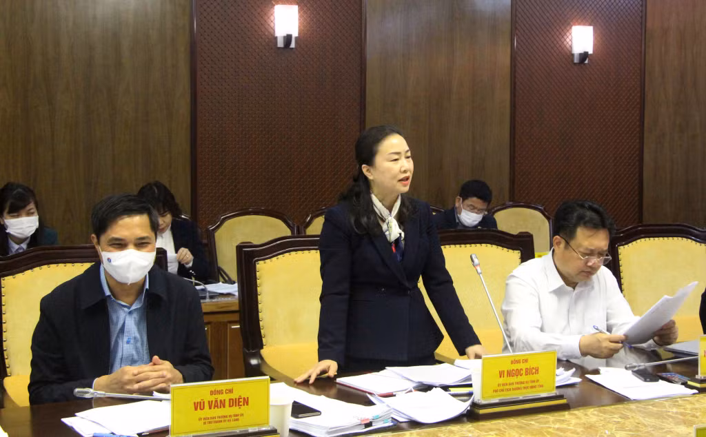 Đồng chí Vi Ngọc Bích, Phó Chủ tịch Thường trực HĐND tỉnh, phát biểu tại hội nghị.