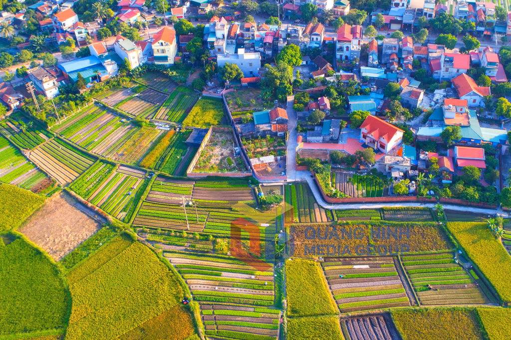 Sắc mầu quê hương (khu Kim Lăng, phường Quảng Yên, TX Quảng Yên) (1-2022). Ảnh: Nguyễn Long Giang (ctv)