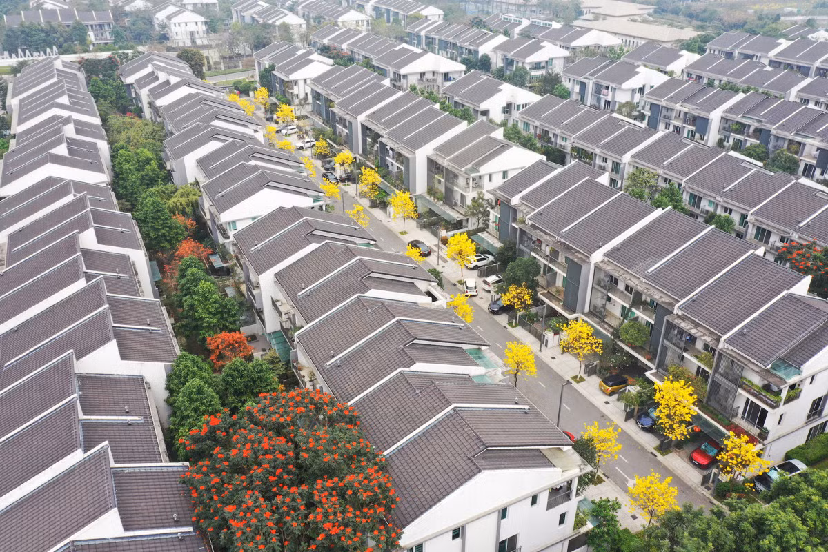 Hoa gạo và phong linh không chỉ được trồng tập trung thành hàng lối riêng trên một con đường riêng mà còn xen kẽ bên các vỉa hè trước cửa nhà dân.