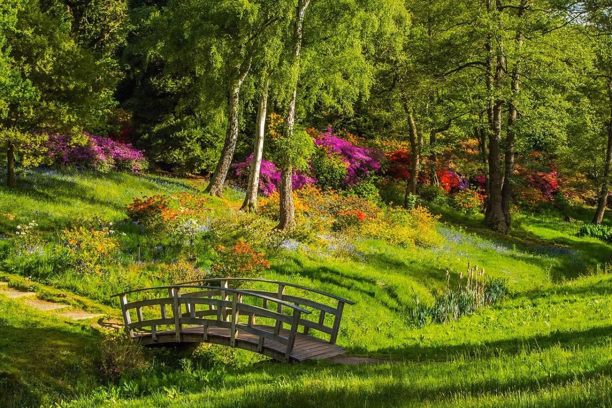 Gramado, Brazil Tham quan công viên Le Jardin Parque de Lavanda ở Gramado, du khách không thể bỏ qua trải nghiệm dạo bước qua các vườn hoa đang nở và nhà kính trồng cây. Nơi đây nổi bật với những loại cây lạ, các giống oải hương độc đáo được trồng quanh lối đi bộ. Tọa lạc giữa vùng núi đẹp như tranh vẽ, Gramado còn là điểm đến mới nổi năm 2022 do du khách bình chọn trên Booking.com. Ảnh: Pixabay