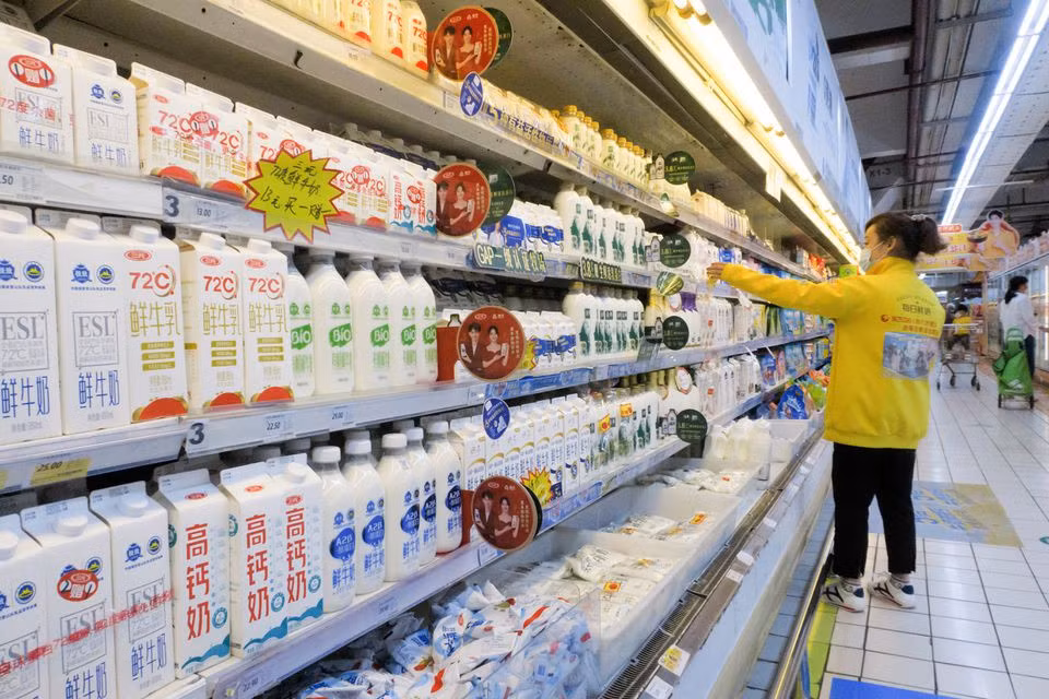 Nhân viên sắp xếp sữa trên kệ tủ lạnh tại một siêu thị ở Bắc Kinh. Ảnh: Reuters