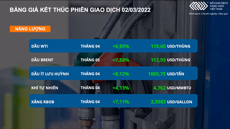 Giá dầu thô tăng mạnh 7%, vượt mốc 110 USD/thùng ảnh 2