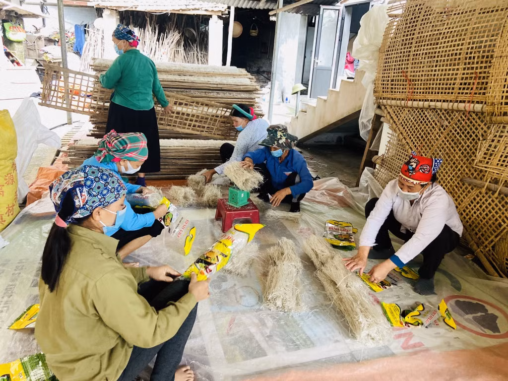 Không ít cơ sở vẫn bố trí nhà xưởng, nơi sơ chế đóng gói sản phẩm chung với nhau, dẫn đến nguy cơ mất an toàn vệ sinh thực phẩm. (Ảnh: Đóng gói, sản xuất miến dong tại HTX Phát triển Đình Trung, xã Húc Động, huyện Bình Liêu)