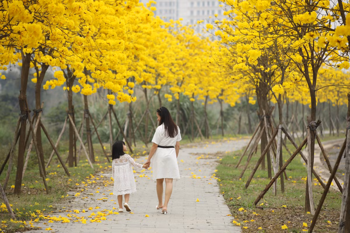 Hai mẹ con bé Ly, chị Ngọc sống ở khu đô thị liền kề tranh thủ ngày nghỉ để đi dạo ngắm hoa chụp ảnh ở cung đường hoa phong linh.