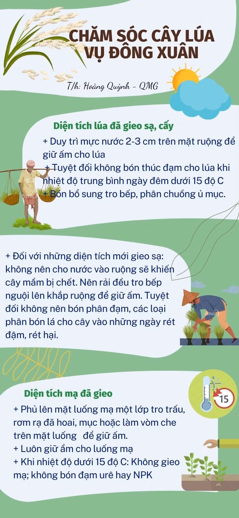 Hứa hẹn mùa vàng bội thu ảnh 3