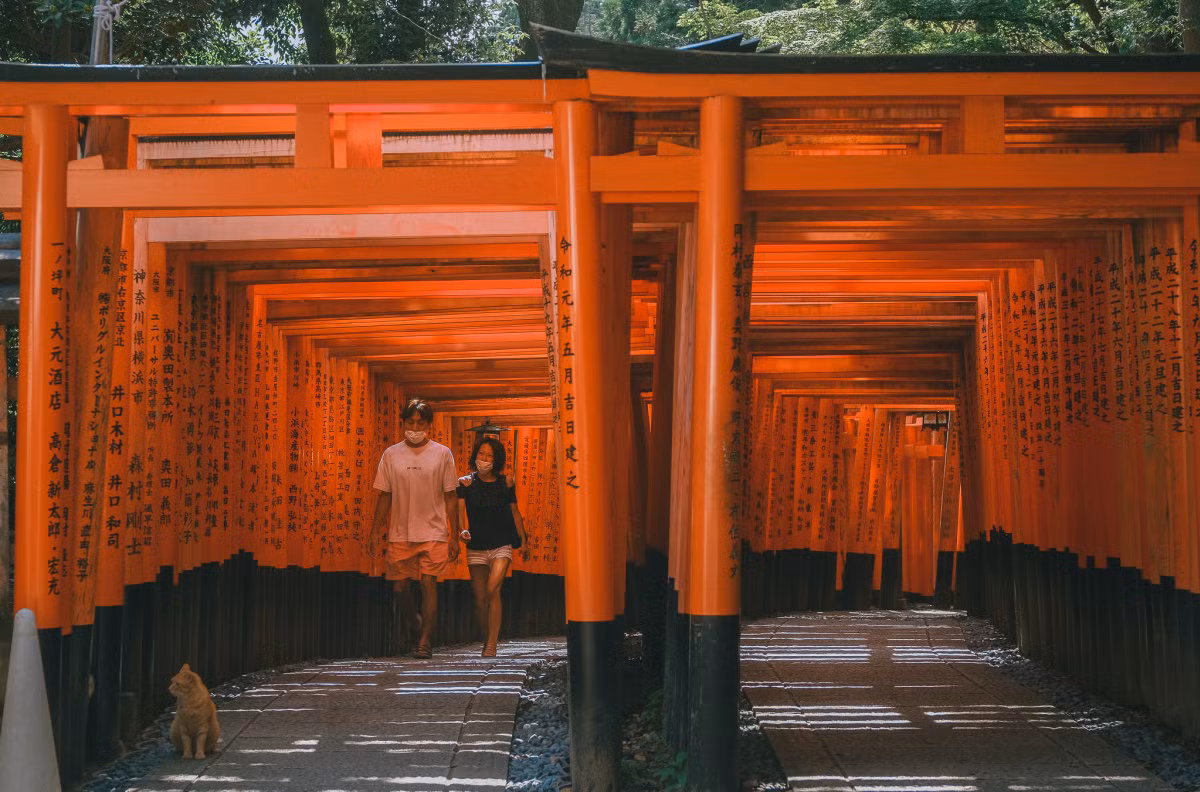 Kyoto vắng vẻ những ngày tháng bảy ảnh 2