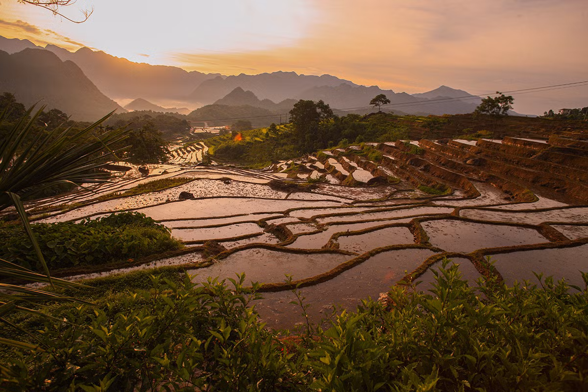 Ngắm ruộng bậc thang mùa đổ nước lúc bình minh là một trải nghiệm tuyệt vời.