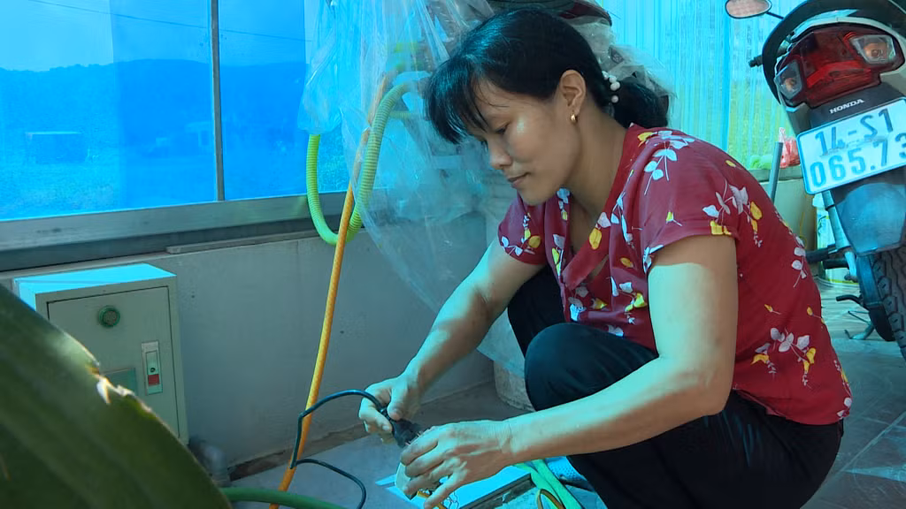 Người dân phải "câu kéo" nguồn điện từ nhà nọ sang nhà kia để sử dụng, tiềm ẩn nguy cơ mất an toàn