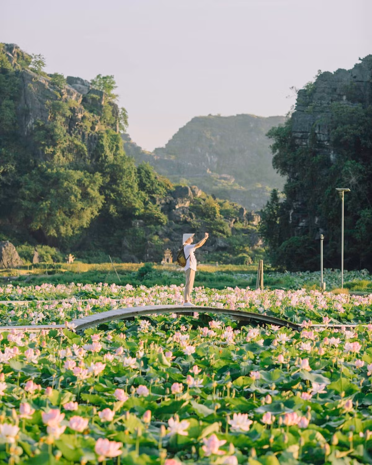 Các homestay ngắm mùa sen ở Ninh Bình ảnh 2