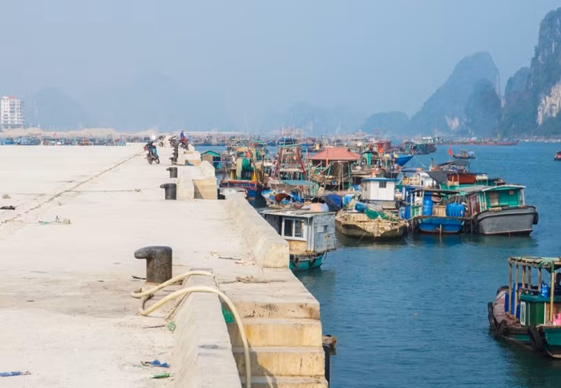 Toàn tỉnh còn 1.400 tàu cá mới đăng ký tạm thời, chưa thực hiện đăng ký chính thức theo quy định.