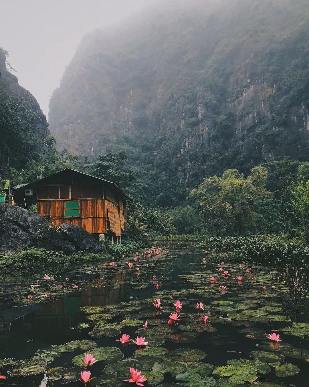 Các homestay ngắm mùa sen ở Ninh Bình ảnh 7