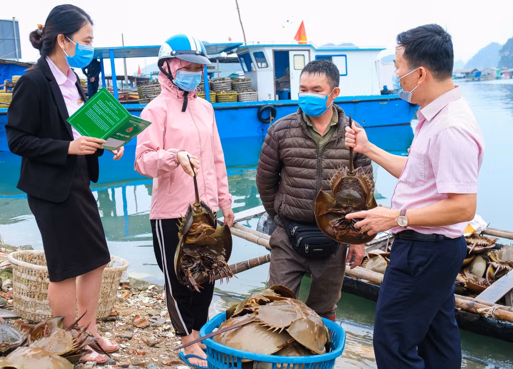 Cán bộ Ngân hàng CSXH huyện Vân Đồn kiểm tra việc sử dụng vốn vay của người dân.
