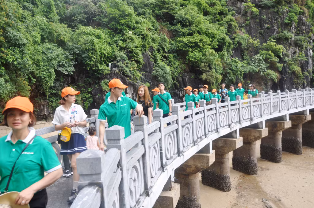 Các chuyên gia cho rằng cần áp dụng việc quản lý du lịch thông minh và tuyên truyền nâng cao nhận thức cho du khách về việc bảo vệ môi trường di sản.