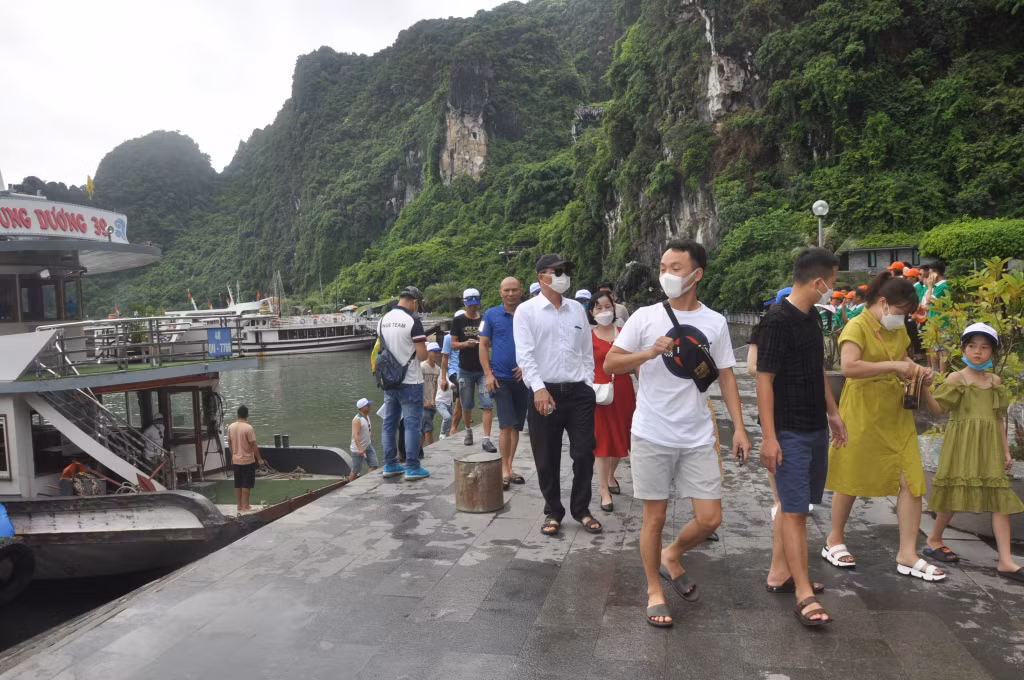 Sử dụng hướng dẫn viên giúp hành trình khám phá, trải nghiệm Vịnh Hạ Long của du khách được trọn vẹn hơn.