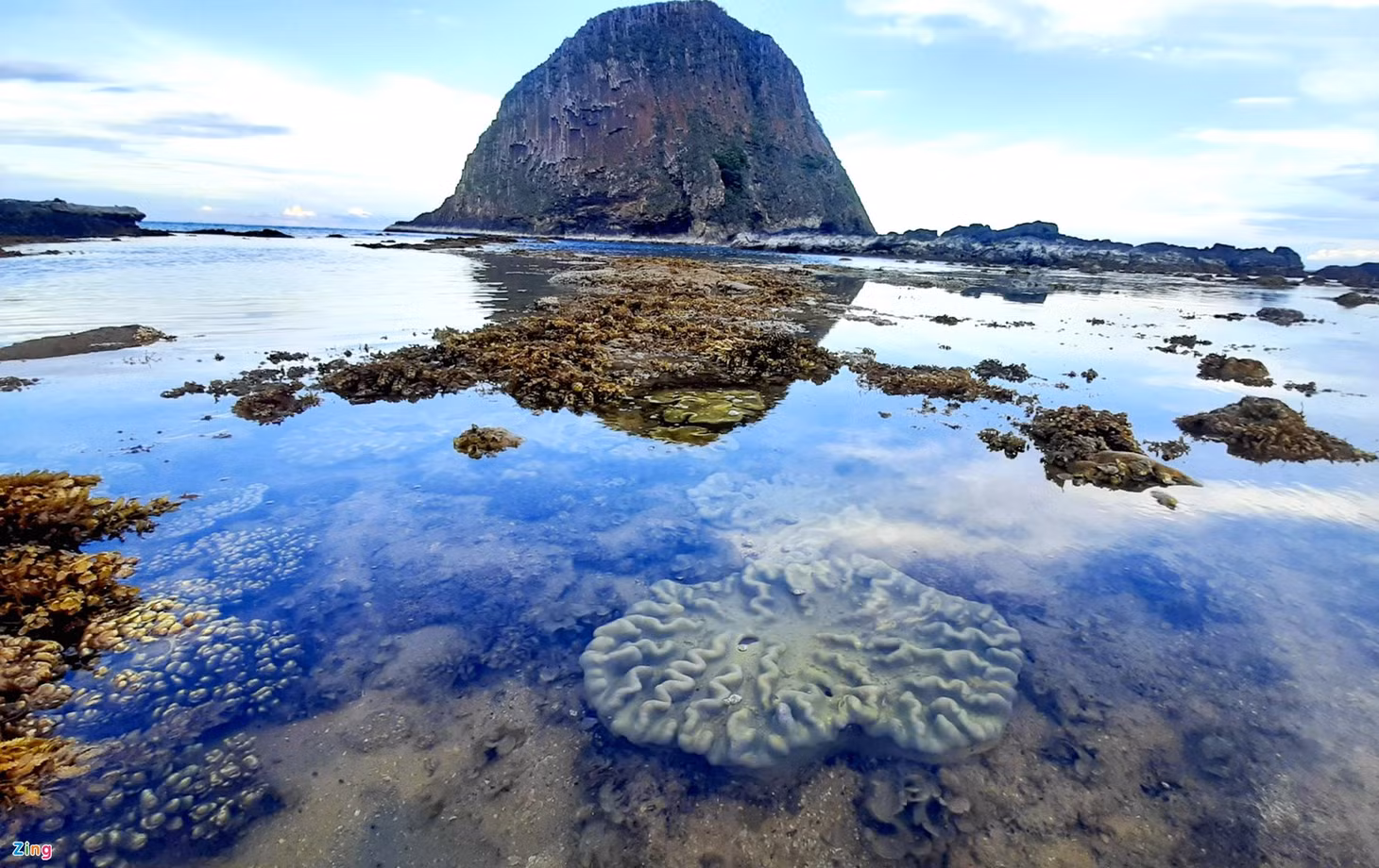 San ho ruc ro Phu Yen anh 7