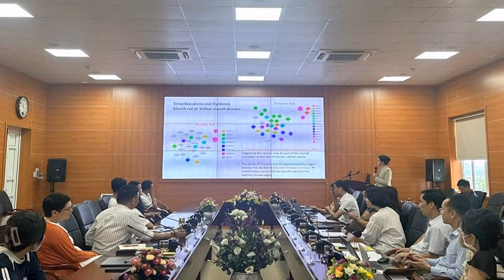 TS. Francesca Samsing Pedral (Đại học Sydney, Australia) chia sẻ tại hội thảo các nghiên cứu tương tác của hệ sinh vật trên cá biển với các tác nhân gây bệnh.