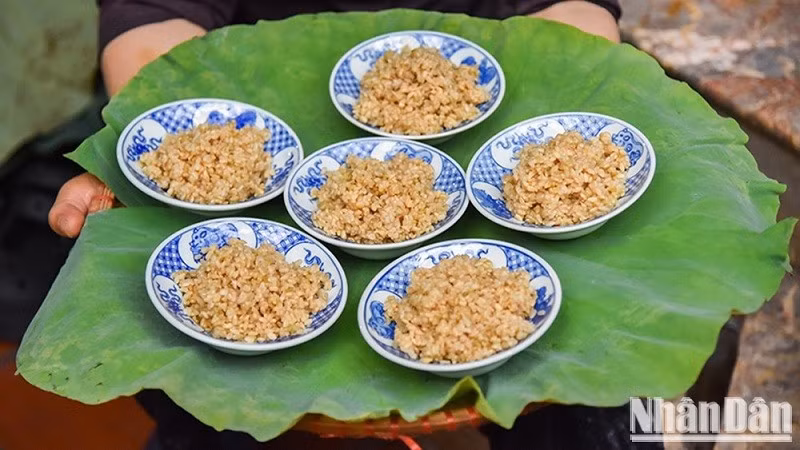(Ảnh: NAM NGUYỄN - NHẬT QUANG)