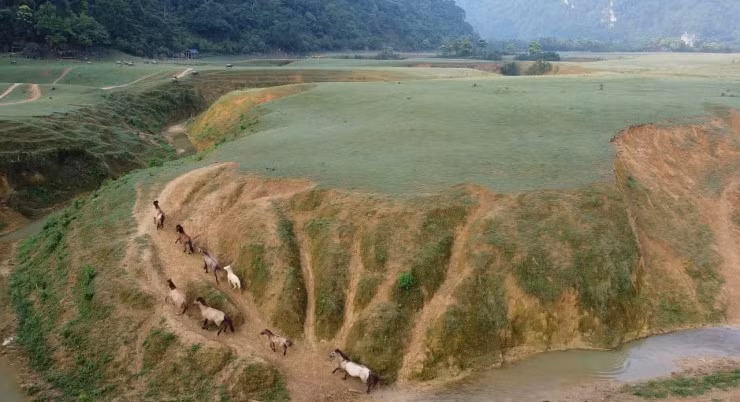 ‘Lạc bước’ ở thảo nguyên xanh bao la giữa lòng xứ Lạng - 4