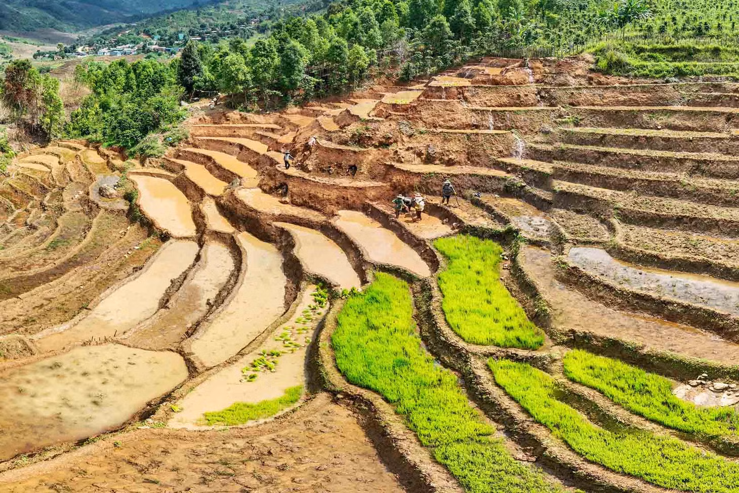 Cảnh sắc ở Tu Mơ Rông còn khá hoang sơ, thích hợp cho du khách ưa khám phá những vùng đất mới, cũng như tìm hiểu văn hóa địa phương – đặc biệt là cuộc sống của đồng bào Xơ Đăng phía Bắc Tây Nguyên. Ảnh: Nguyễn Ban