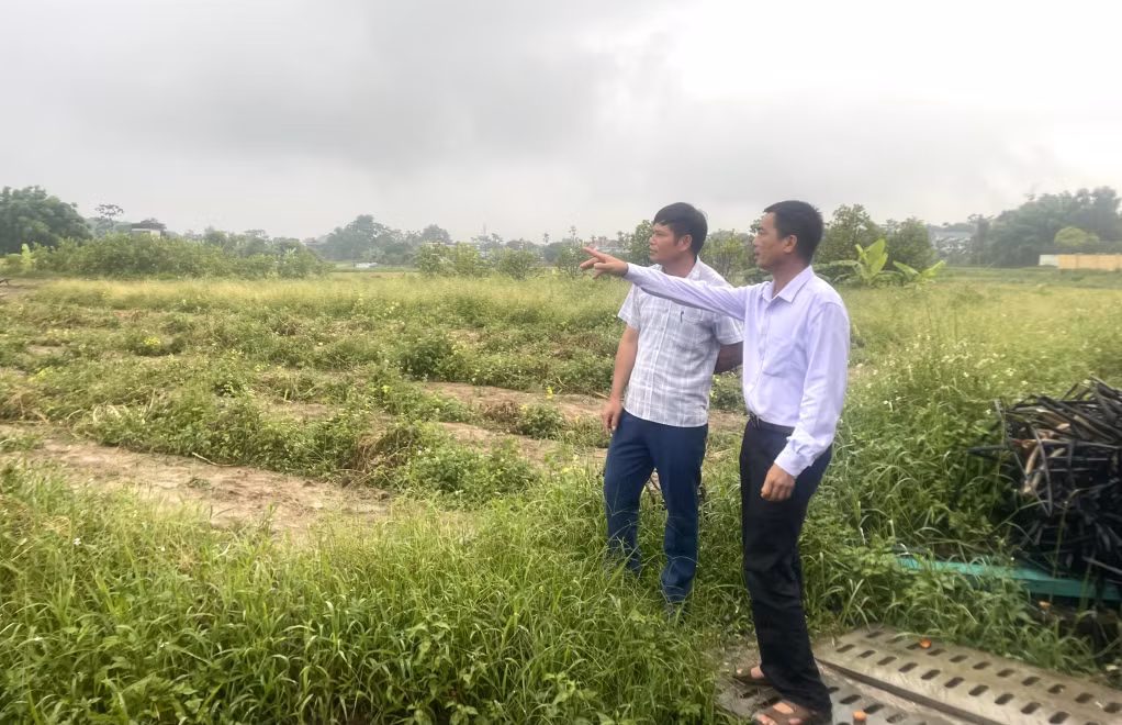 HTX Thương mại, dịch vụ và sản xuất nông, lâm, thủy sản Tuấn Hùng muốn mở rộng diện tích sản xuất nhưng vướng mắc các thủ tục chuyển nhượng đất đai.