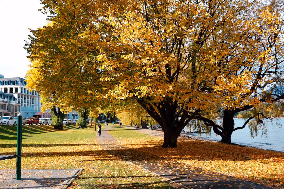 Ở góc độ nào, Queenstown cũng đều đẹp như một bức tranh. Ảnh: Trang Kịt