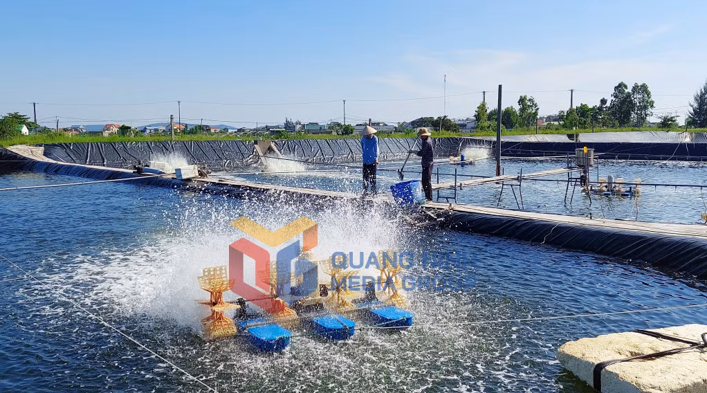 Cơ sở nuôi tôm công nghiệp của người dân thôn Đông, xã Vạn Ninh, TP Móng Cái (6-2023). Ảnh: Dương Trường