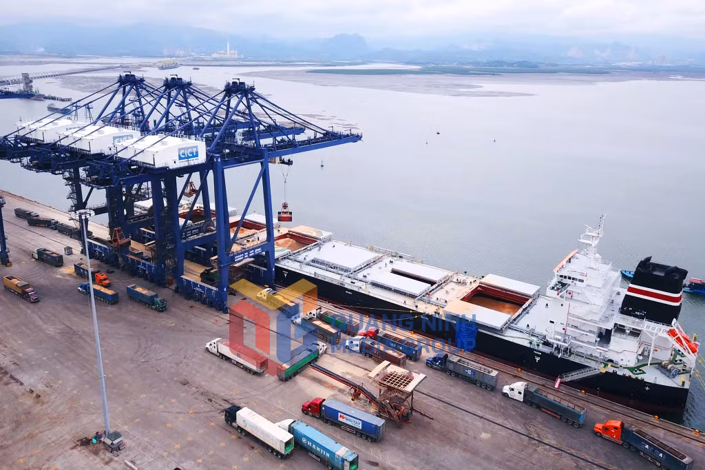 Bốc xúc hàng hóa tại cảng Cái Lân (6-2023). Ảnh: Đỗ Phương