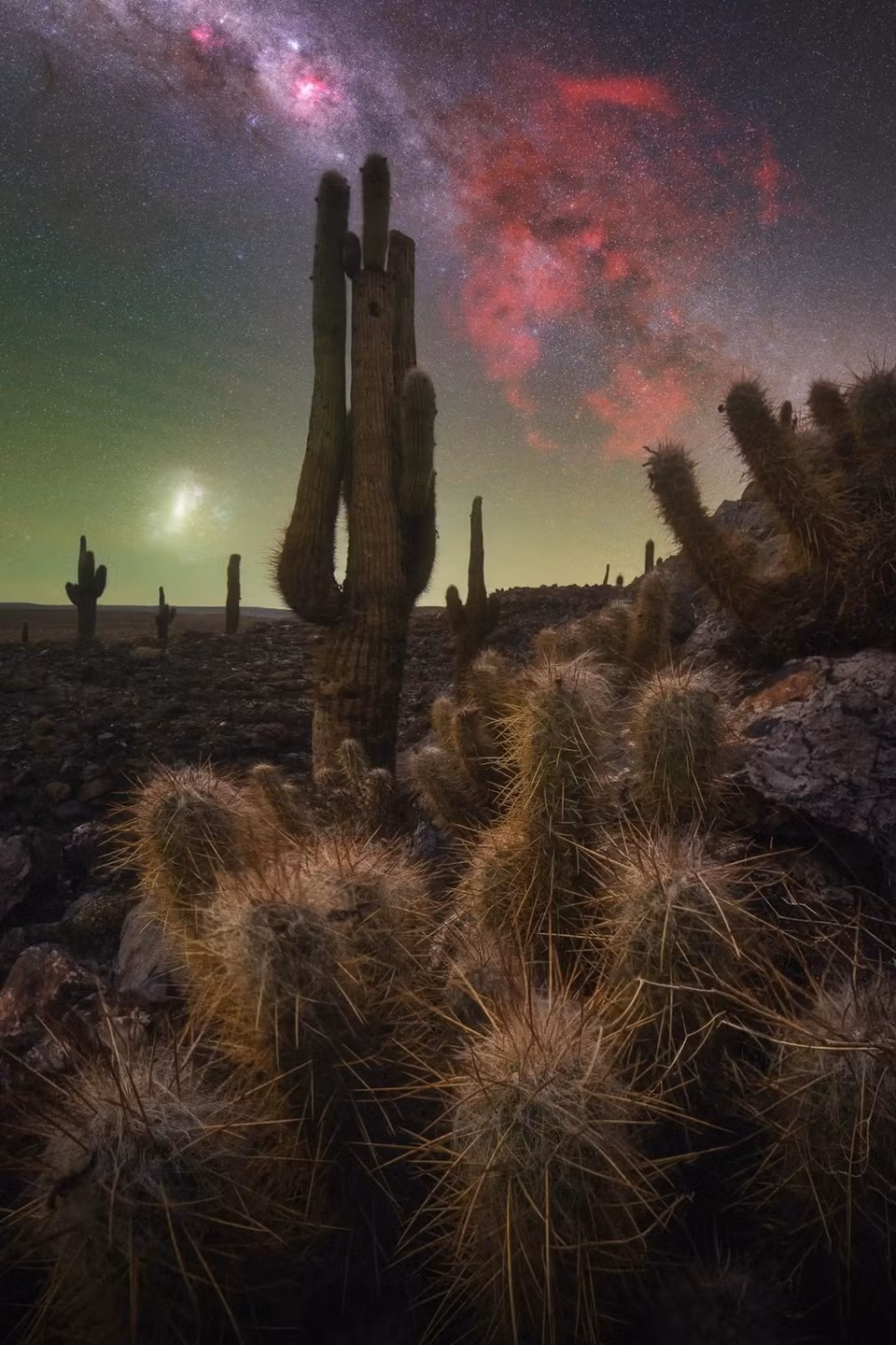 Bức ảnh Thung lũng xương rồng của tác giả Pablo Ruiz Garcia chụp tại sa mạc Atacama (Chile). Đây là nơi tuyệt vời để trải nghiệm bầu trời đêm. Trong bức hình bạn có thể thấy rõ những tinh vân (thiên thể ở dạng mây mù gồm khí sao và bụi vũ trụ) và bên dưới là những cây xương rồng mang tính biểu tượng của thung lũng.