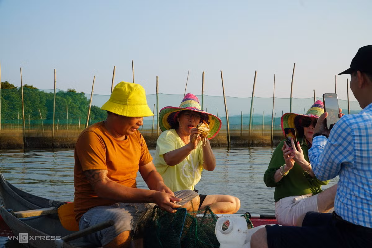 Nơi đàn chim về giữa đầm Thị Nại ảnh 8