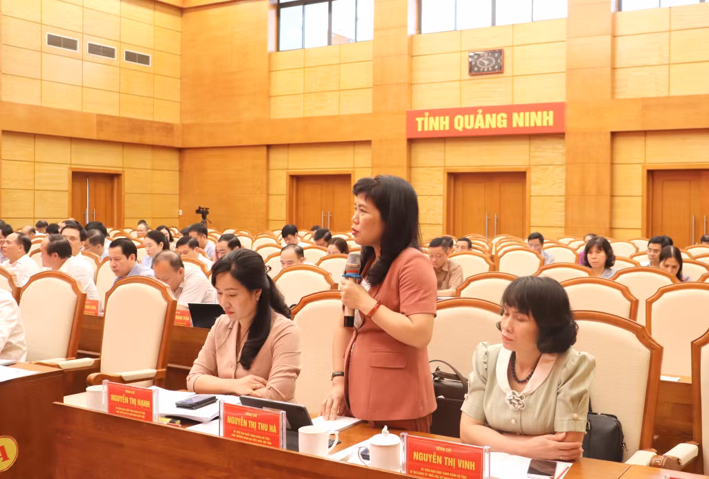 Đồng chí Nguyễn Thị Thu Hà, Phó Trưởng Đoàn ĐBQH tỉnh phát biểu tại hội nghị.