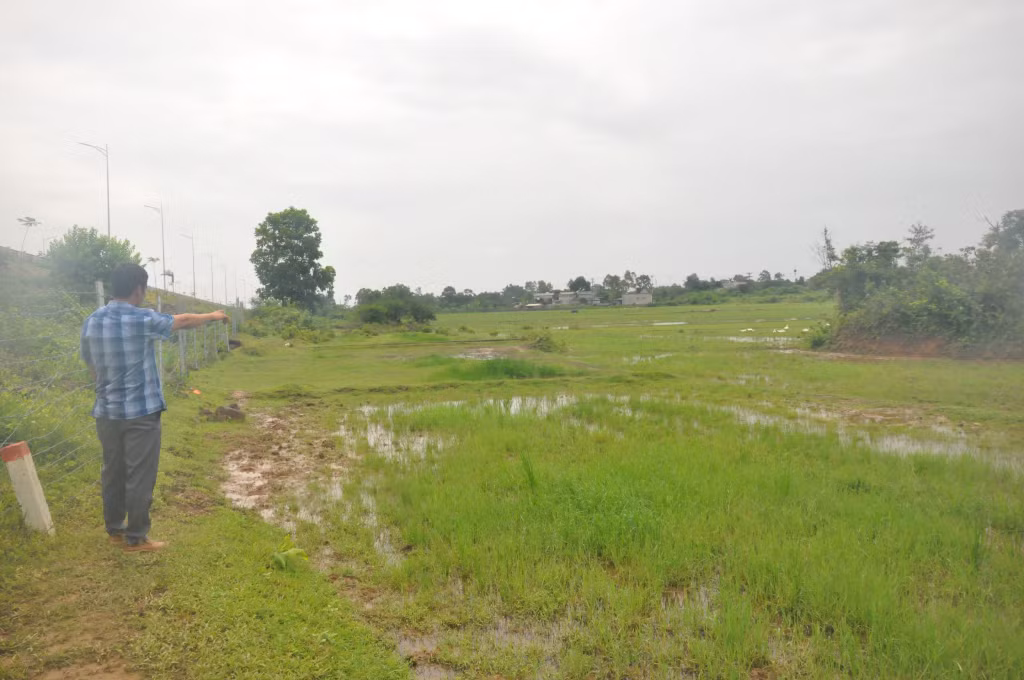 Do không đảm bảo tưới tiêu, cánh đồng thôn 2, xã Quảng Nghĩa bị bỏ hoang từ khi thi công cao tốc Vân Đồn-Móng Cái