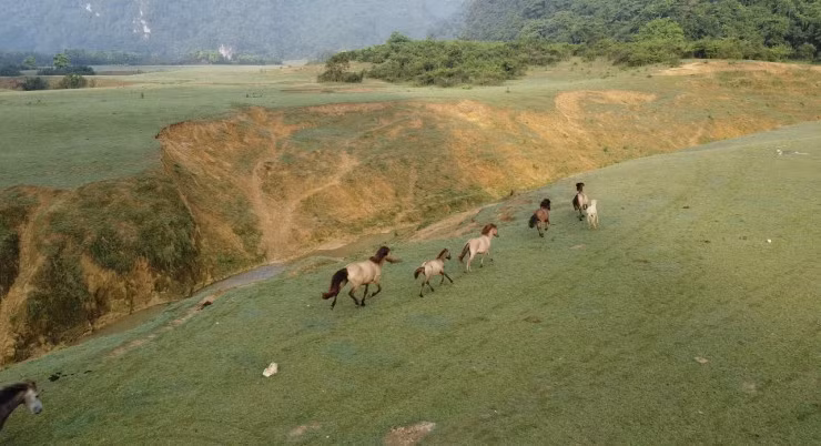 ‘Lạc bước’ ở thảo nguyên xanh bao la giữa lòng xứ Lạng - 3
