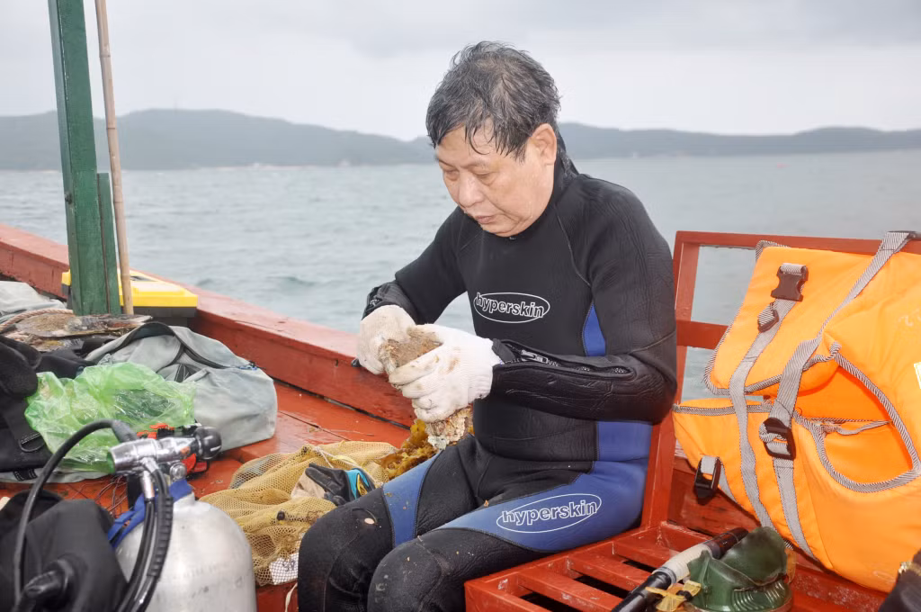 PGS.TS Đàm Đức Tiến lấy mẫu rong biển sau đợt lặn tại vùng biển Cô Tô, tháng 6/2023.