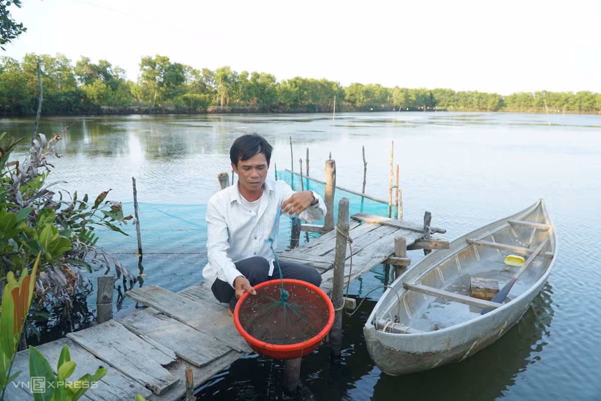 Nơi đàn chim về giữa đầm Thị Nại ảnh 6