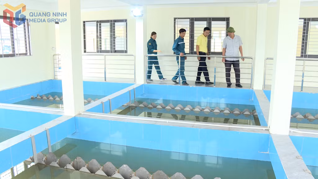 Lãnh đạo Nhà máy nước Khe Mai và Xí nghiệp nước Vân Đồn (Công ty CP Nước sạch Quảng Ninh) đi kiểm tra chất lượng lọc nước.
