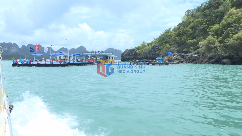 Hạ tầng nuôi rong kết hợp nuôi cá, nuôi hàu được Tập đoàn STP thiết kế theo các dạng modun khác nhau. 
